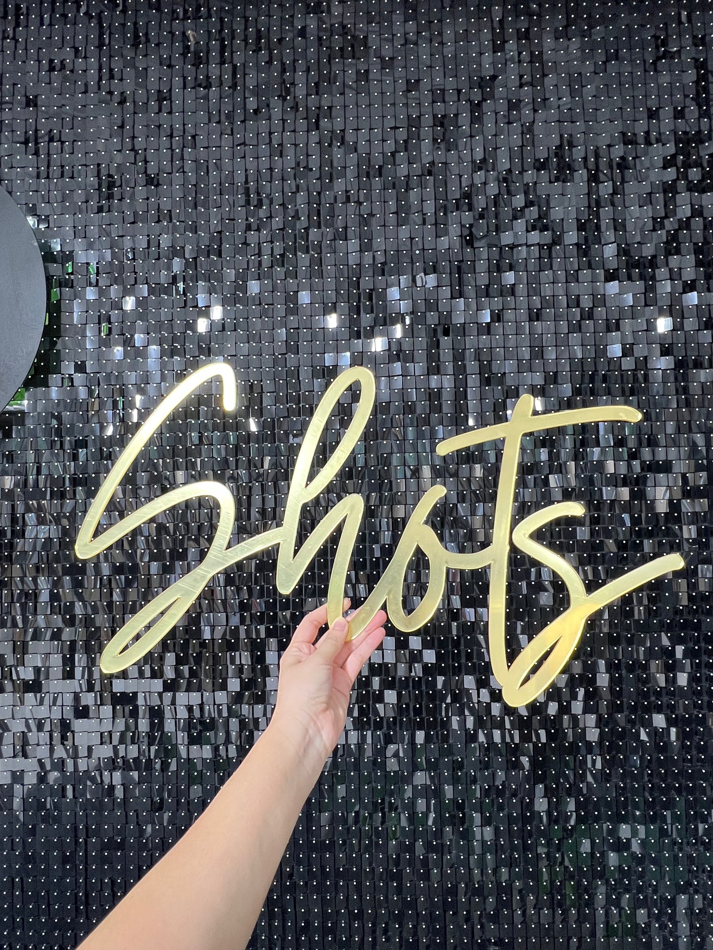 Acrylic Name Sign, Custom Logo sign, Personalized Large acrylic sign, backdrop sign, Nursery Sign